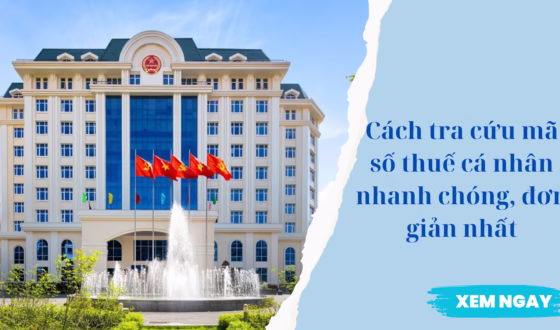 Nắm bắt cách tra cứu mã số thuế cá nhân nhanh chóng, đơn giản nhất