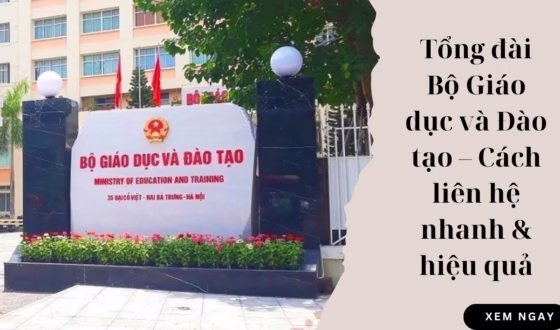 Tổng đài Bộ Giáo dục và Đào tạo – Cách liên hệ nhanh & hiệu quả