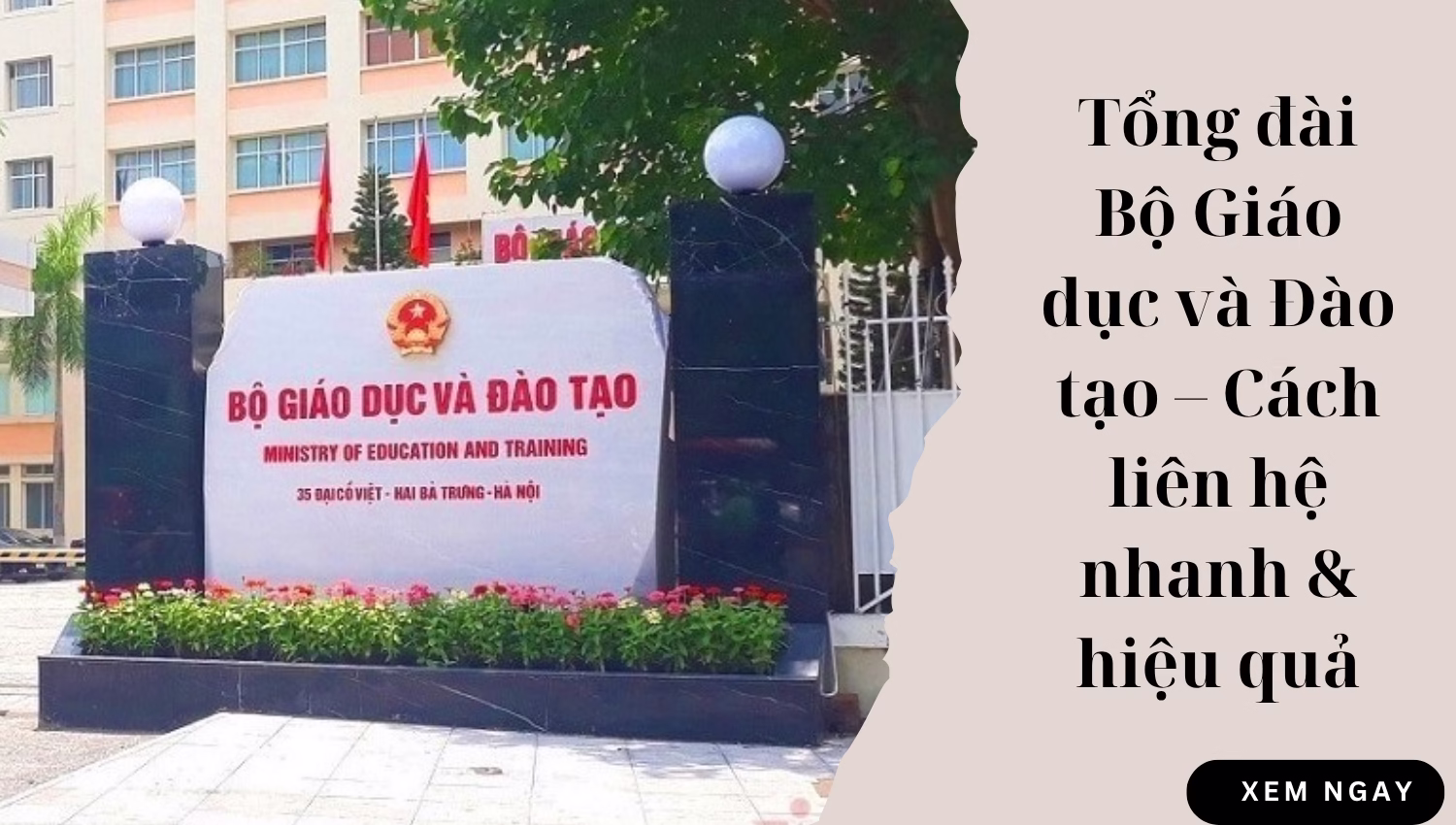 Tổng đài Bộ Giáo dục và Đào tạo – Cách liên hệ nhanh & hiệu quả