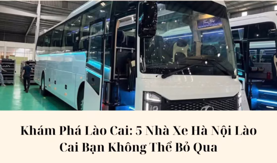 Khám Phá Lào Cai 5 Nhà Xe Hà Nội Lào Cai Bạn Không Thể Bỏ Qua