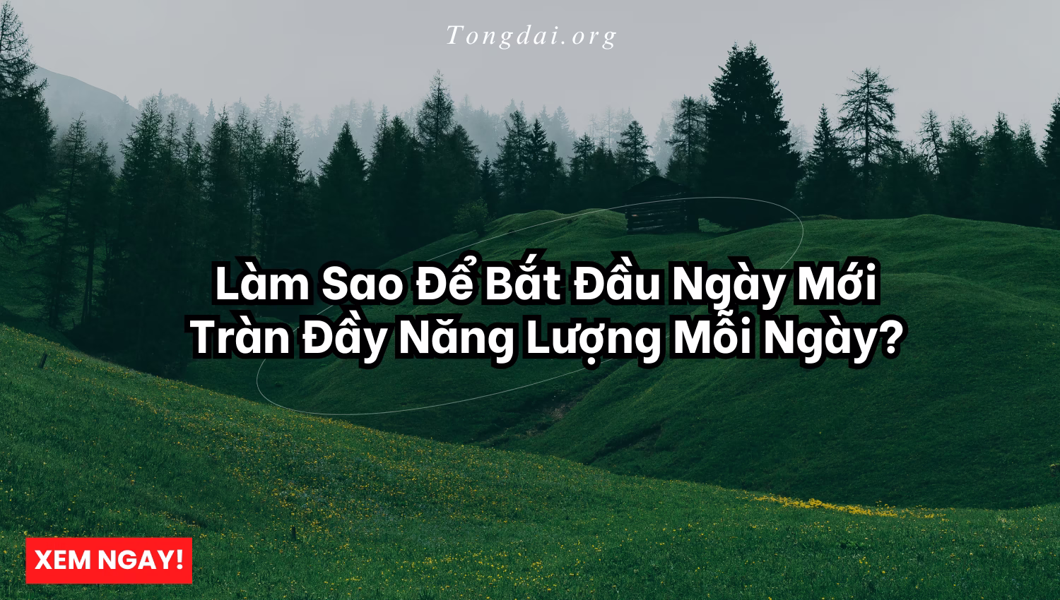 Làm Sao Để Bắt Đầu Ngày Mới Tràn Đầy Năng Lượng Mỗi Ngày?