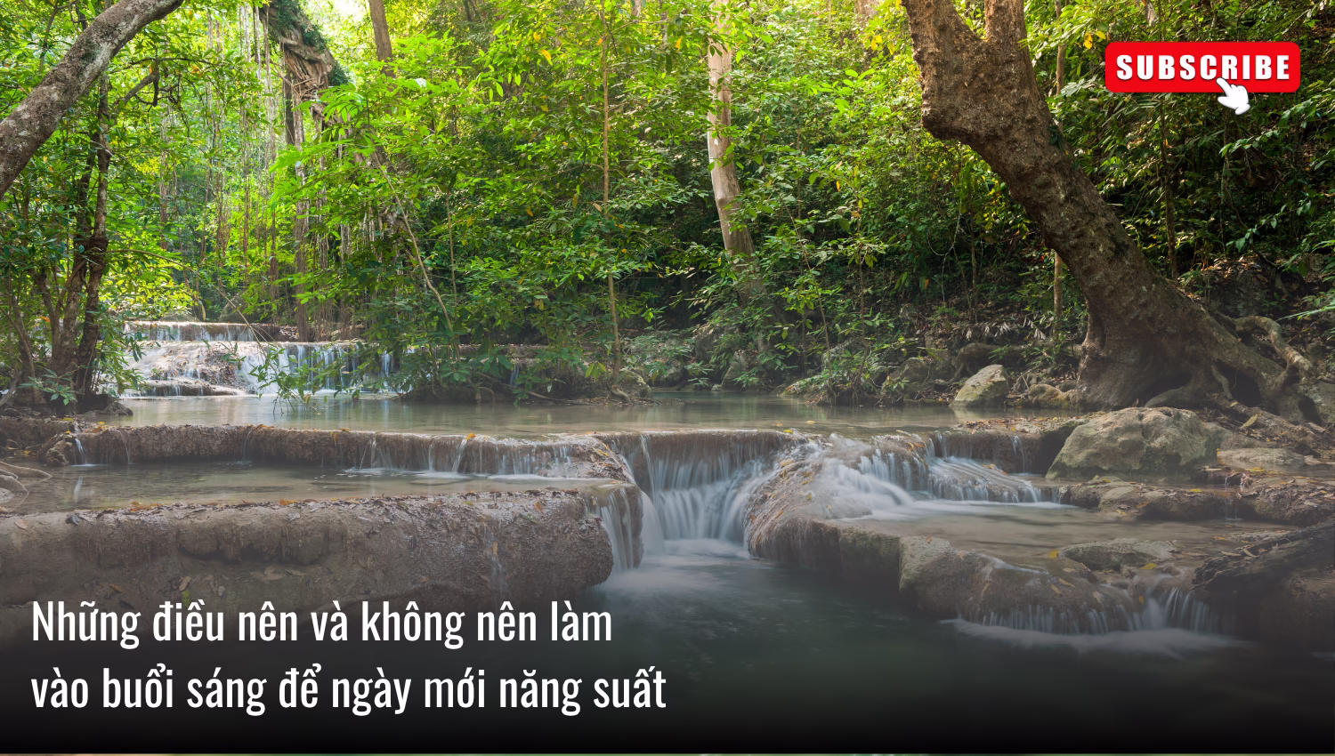 Những điều nên và không nên làm vào buổi sáng để ngày mới năng suất