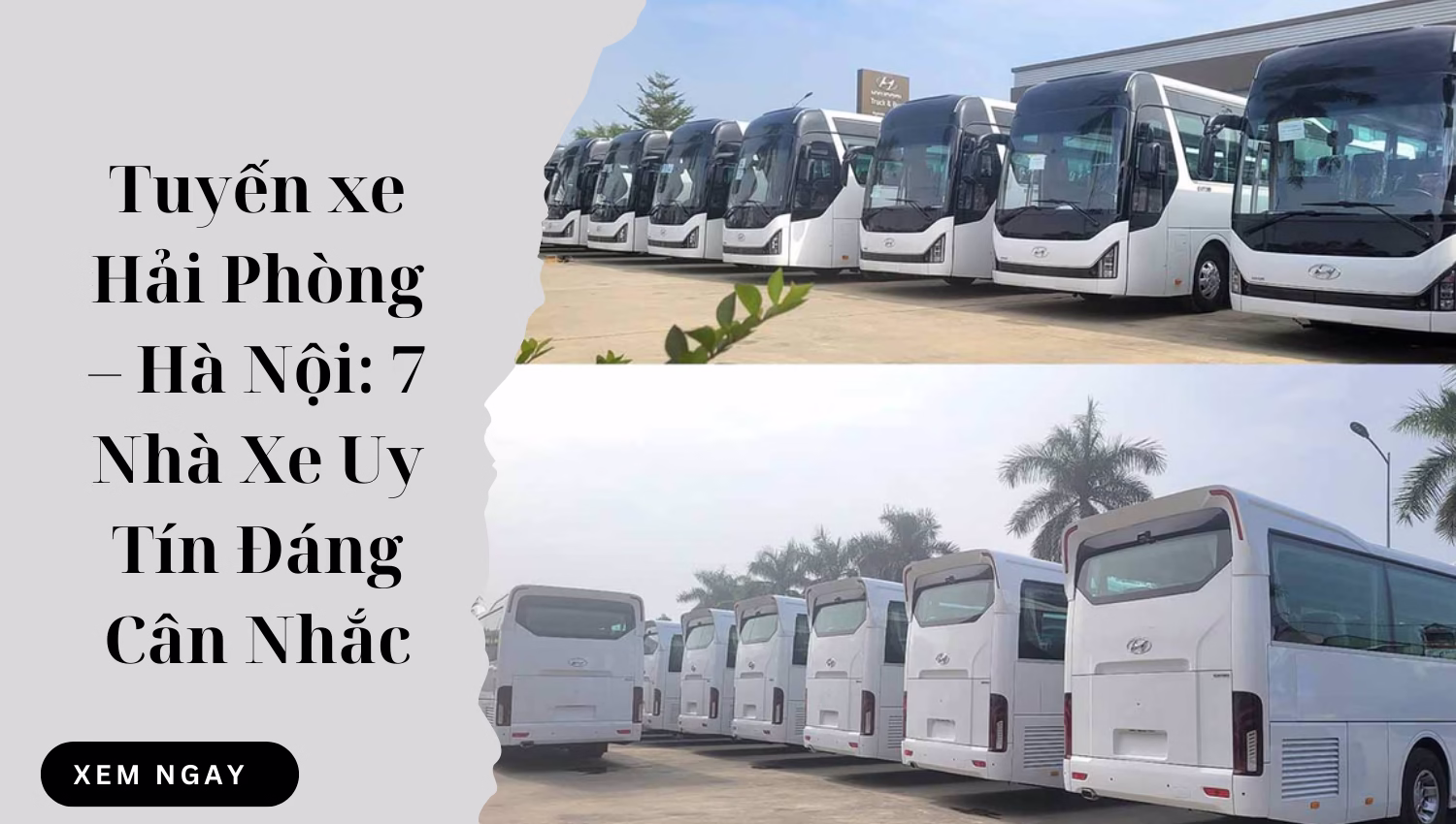 Tuyến xe Hải Phòng – Hà Nội: 7 Nhà Xe Uy Tín Đáng Cân Nhắc