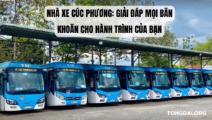 Nhà xe Cúc Phương: Giải đáp mọi băn khoăn cho hành trình của bạn