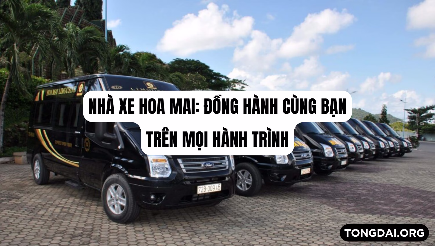 Nhà xe Hoa Mai: Đồng hành cùng bạn trên mọi hành trình