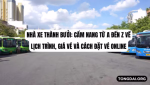 Nhà xe Thành Bưởi Cẩm nang từ A đến Z về lịch trình, giá vé và cách đặt vé online