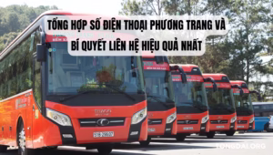 Tổng Hợp Số Điện Thoại Phương Trang và Bí Quyết Liên Hệ Hiệu Quả Nhất