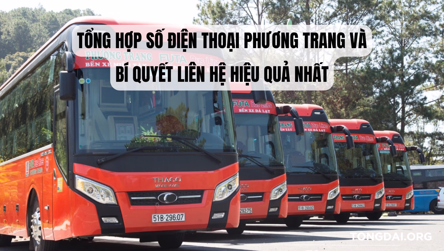 Tổng Hợp Số Điện Thoại Phương Trang và Bí Quyết Liên Hệ Hiệu Quả Nhất