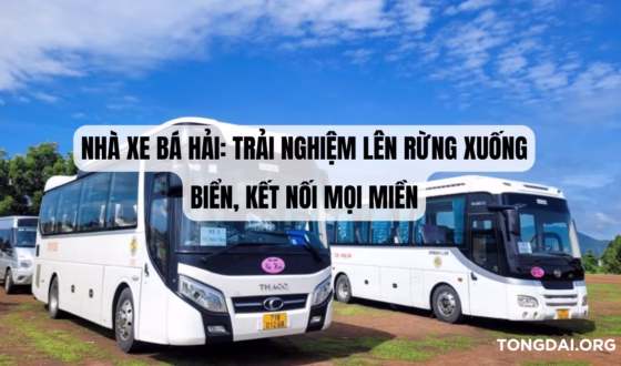 Nhà Xe Bá Hải: Trải Nghiệm Lên Rừng Xuống Biển, Kết Nối Mọi Miền