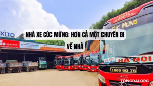 Nhà Xe Cúc Mừng Hơn Cả Một Chuyến Đi Về Nhà