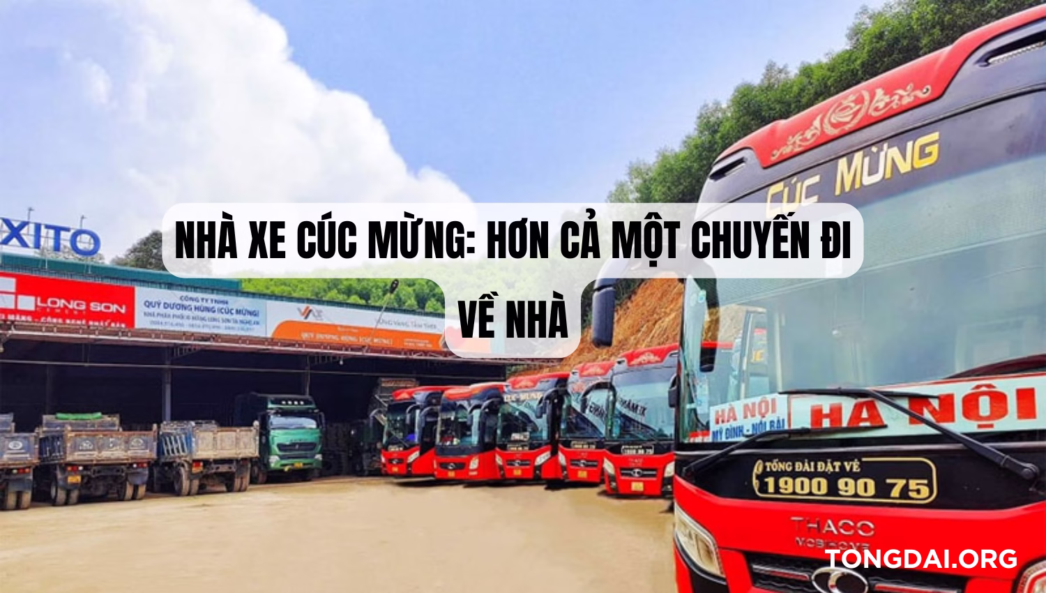 Số điện thoại Nhà Xe Cúc Mừng: Hơn Cả Một Chuyến Đi Về Nhà
