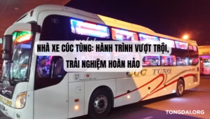 Nhà Xe Cúc Tùng: Hành Trình Vượt Trội, Trải Nghiệm Hoàn Hảo