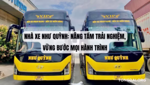 Nhà Xe Như Quỳnh: Nâng Tầm Trải Nghiệm, Vững Bước Mọi Hành Trình