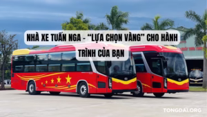 Nhà Xe Tuấn Nga - “Lựa Chọn Vàng” Cho Hành Trình Của Bạn 