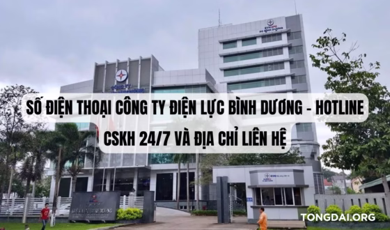 Số Điện Thoại Công Ty Điện Lực Bình Dương – Hotline CSKH 247 Và Địa Chỉ Liên Hệ