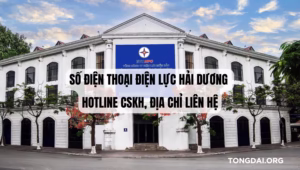 Số Điện Thoại Điện Lực Hải Dương – Hotline CSKH, Địa Chỉ Liên Hệ