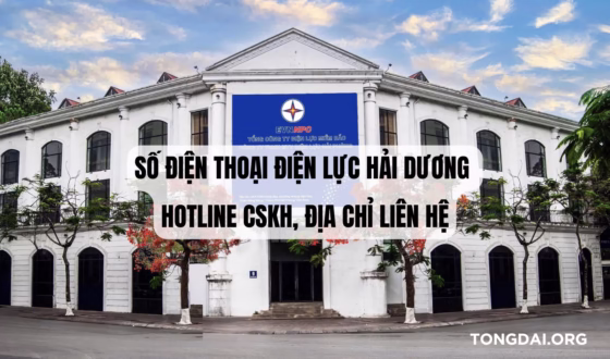 Số Điện Thoại Điện Lực Hải Dương – Hotline CSKH, Địa Chỉ Liên Hệ