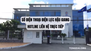 Số Điện Thoại Điện Lực Hậu Giang Hotline Liên Hệ Trực Tiếp