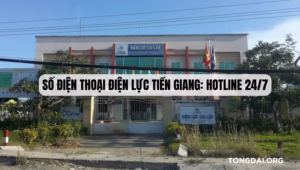 Số Điện Thoại Điện Lực Tiền Giang Hotline 247